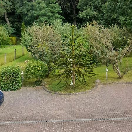 Pension Zum Park Goldberg Eksteriør billede