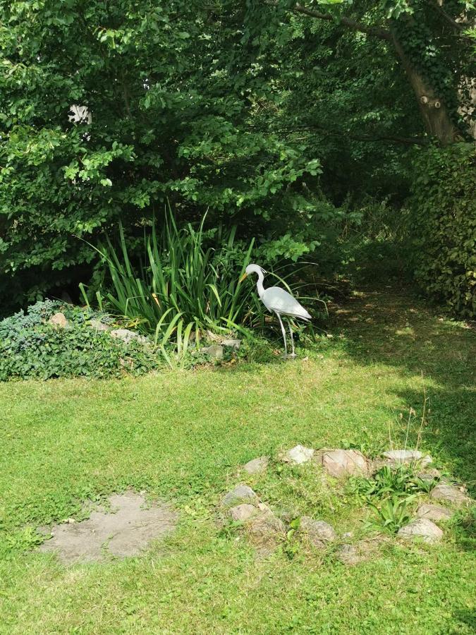 Pension Zum Park Goldberg Eksteriør billede